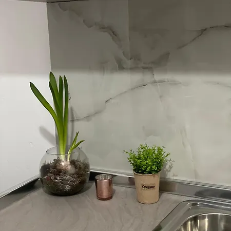 2bdr Komuna E Parisit * 地拉那